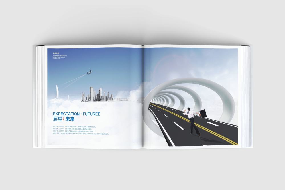 郯城县画册设计